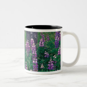 Tasse 2 Couleurs NA, États-Unis, Alaska, Îles Aléoutiennes, Unalask