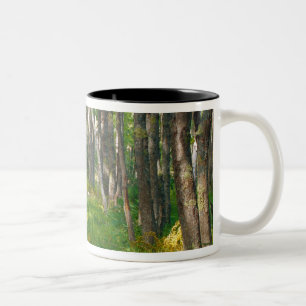 Tasse 2 Couleurs NA, États-Unis, Maine.  Sentier Jessup à Acadia Na