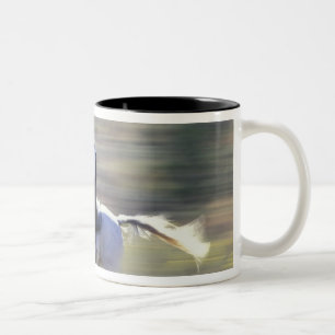 Tasse 2 Couleurs Na, Etats-Unis, Orégon, Sénèque, ranch de