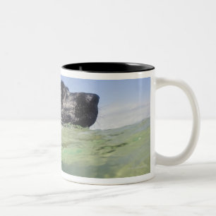 Tasse 2 Couleurs Natation de chien dans l'eau