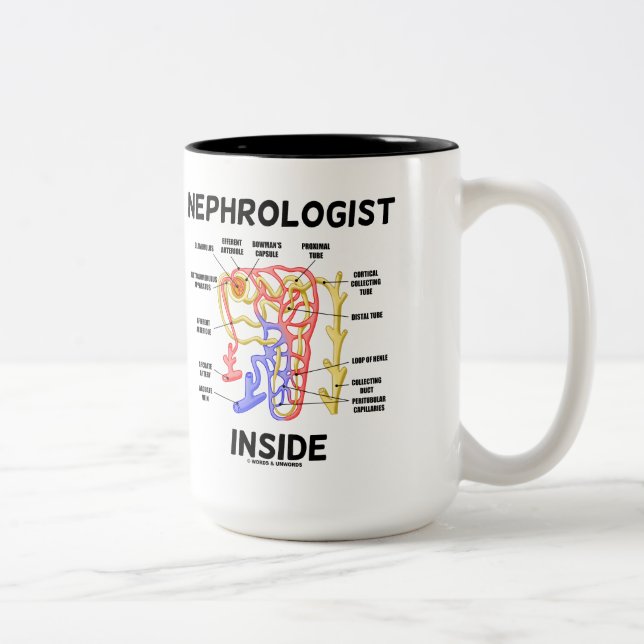 Tasse 2 Couleurs Néphrologiste à l'intérieur (Néphron du rein) (Droit)