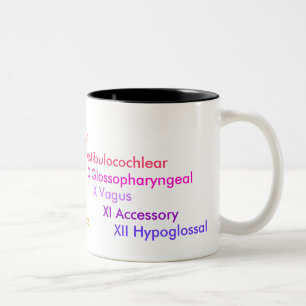 Tasse 2 Couleurs Nerfs crâniens