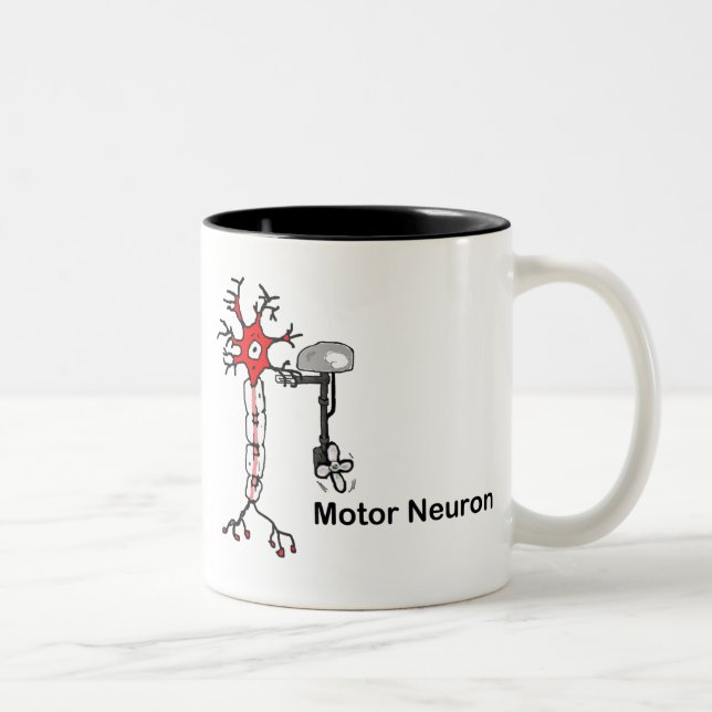 Tasse 2 Couleurs Neuron moteur (Droit)