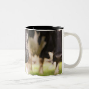Tasse 2 Couleurs Nez de vache