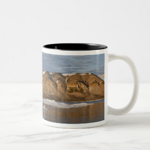 Tasse 2 Couleurs Norvège, Svalbard, île de Spitsbergen, Cadre