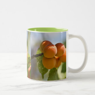 Tasse 2 Couleurs Nourriture Pêches sur l'Arbre