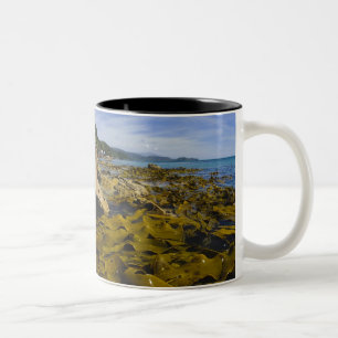 Tasse 2 Couleurs Nouvelle-Zélande, Southland, île Stewart. Kelp