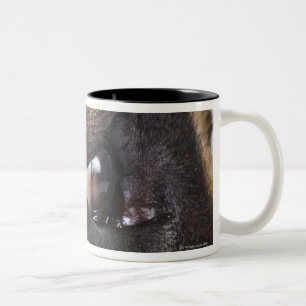 Tasse 2 Couleurs Oeil de great dane