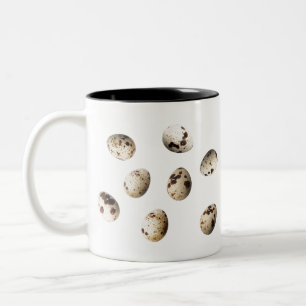 Tasse 2 Couleurs Oeufs De Quail Frais Isolés Sur Un Arrière - plan