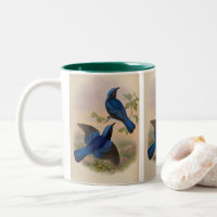 Oiseau bleu à manteau bleu de John Gould