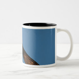 Tasse 2 Couleurs Oiseau de proie, aigle à tête blanche en vol, Kach