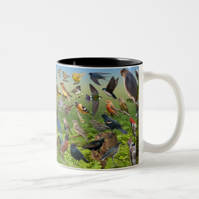 Tasse 2 Couleurs Oiseaux Jardins de l'Ouest (Droit)