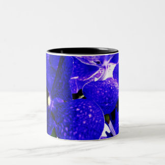 Tasse 2 Couleurs Orchidée 31