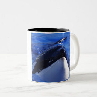Tasse 2 Couleurs orque. Épaulard
