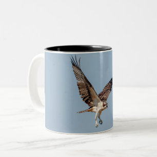 Tasse 2 Couleurs Osprey juvénile en vol