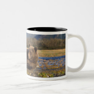 Tasse 2 Couleurs Ours brun, grizzly s'étirant sur le dos