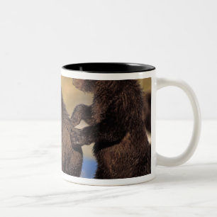 Tasse 2 Couleurs ours brun, Ursus arctos, grizzly, Ursus