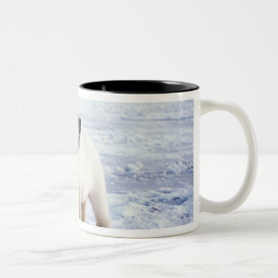 Tasse 2 Couleurs Ours polaire femelle avec ourson, meute