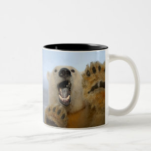 Tasse 2 Couleurs ours polaire, Ursus maritimus, regarde curieusemen
