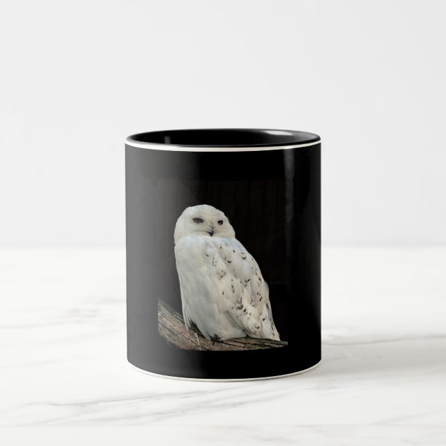 TASSE 2 COULEURS **OWL DE NEIGE** (Centre)
