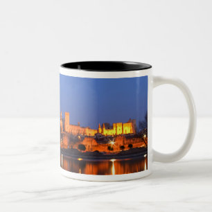Tasse 2 Couleurs Palais des Papes à Avignon et le Rhône au