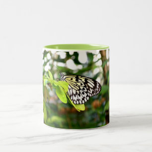 Tasse 2 Couleurs Papier papillon