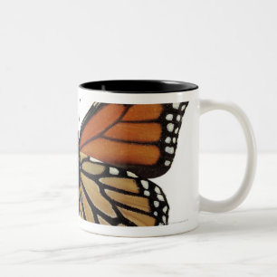 Tasse 2 Couleurs Papillon de Danaus de Plexippus