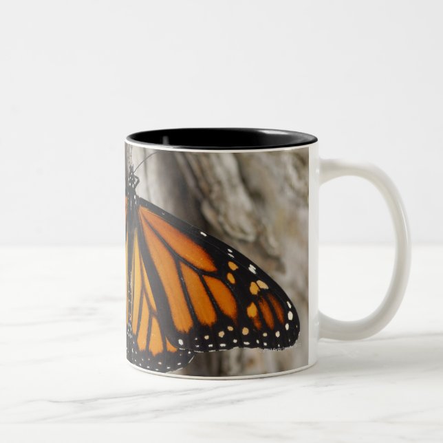 Tasse 2 Couleurs Papillon de monarque (Droit)