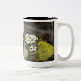 Tasse 2 Couleurs Papillon jaune