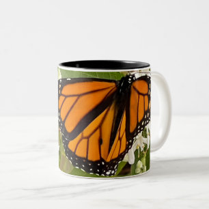 Tasse 2 Couleurs Papillon monarque