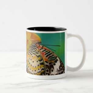 Tasse 2 Couleurs Papillons tropicaux de Lacewing de léopard