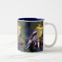 Tasse 2 Couleurs Paruline du Cap May, Oiseaux