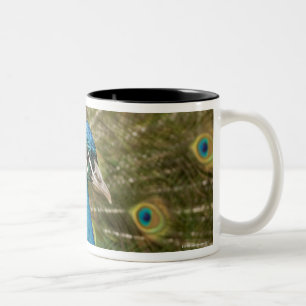 Tasse 2 Couleurs Pavanement de paon