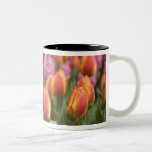 Tasse 2 Couleurs Pays-Bas (aussi appelé Hollande), Lisse. Keukenhof