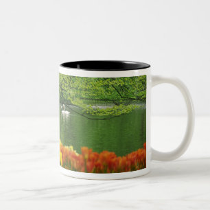Tasse 2 Couleurs Pays-Bas, Lisse. Cygnes blancs sur étang au milieu