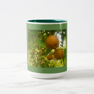 Tasse 2 Couleurs Pear Tree Green