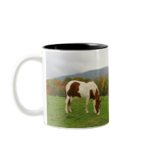 Peignez le cheval