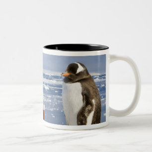 Tasse 2 Couleurs Penguin Gentoo