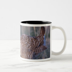 Tasse 2 Couleurs Petit poulet des Prairies, Tympanuchus