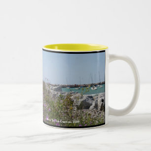 Tasse 2 Couleurs Petoskey Michigan