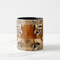 Photo de yeux de tigre et de lion