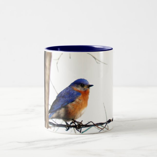 Tasse 2 Couleurs Photo orientale d'oiseau bleu (Centre)