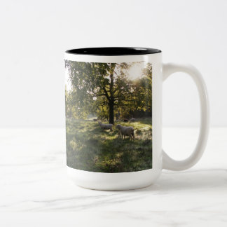 Tasse 2 Couleurs Photographier les moutons