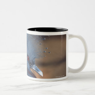 Tasse 2 Couleurs pigeon couronné
