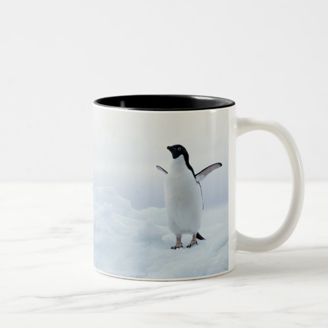 Tasse 2 Couleurs Pingouin d'Adelie, Antarctique (Droit)
