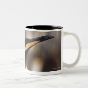 Tasse 2 Couleurs Pingouin de roi (patagonicus d'Aptenodytes)