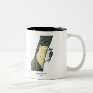 Tasse 2 Couleurs Pivert duveteux (mâle)