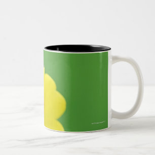 Tasse 2 Couleurs Plan rapproché de coccinelle