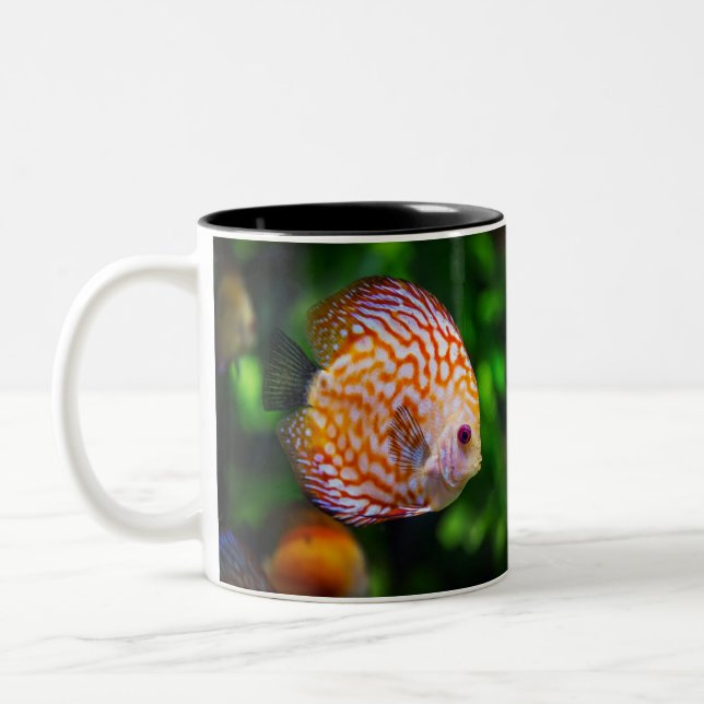 Tasse 2 Couleurs Poisson de Discus (Gauche)