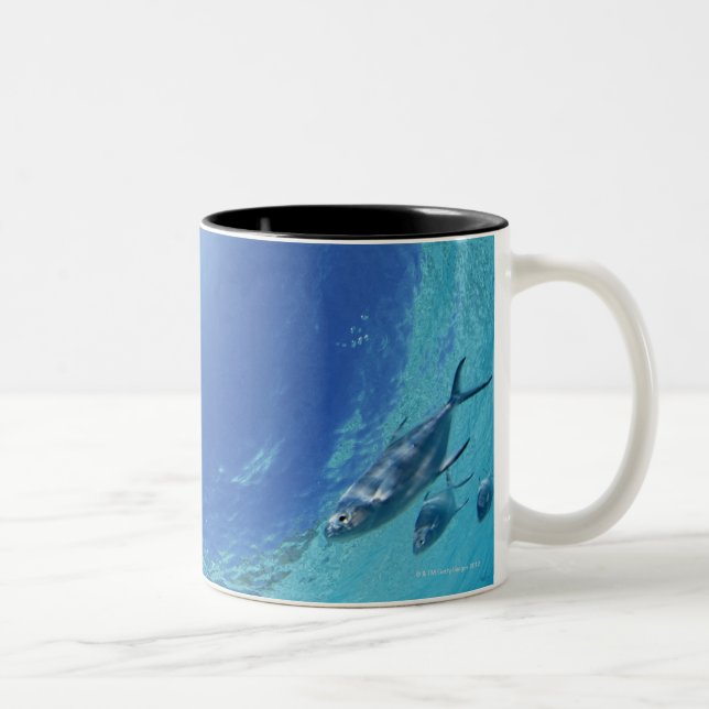 Tasse 2 Couleurs Poissons en mer (Droit)